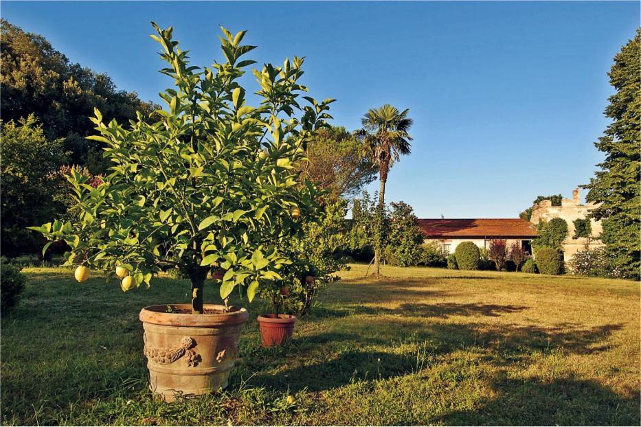 Fattoria Agriturismo Bigongiari Лукка Экстерьер фото